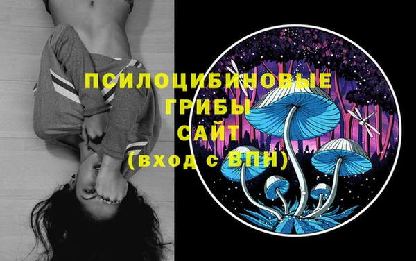 а пвп мука Наволоки