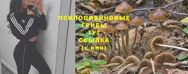 эйфоретик Навашино