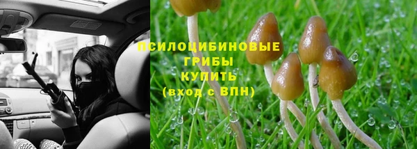 PSILOCYBIN Дмитров