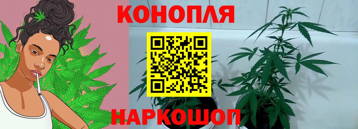 Шишки марихуана марихуана  Каннабис тримм  Марихуана марихуана  Кумертау  Бошки марихуана конопля  Вход с VPN 